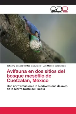 Avifauna en dos sitios del bosque mesfilo de Cuetzalan, Mexikó - Avifauna en dos sitios del bosque mesfilo de Cuetzalan, Mxico