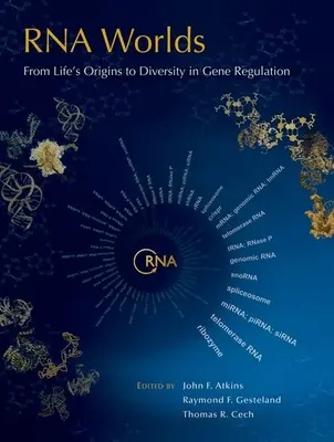 RNS-világok: Az élet eredetétől a génszabályozás sokféleségéig - RNA Worlds: From Life's Origins to Diversity in Gene Regulation