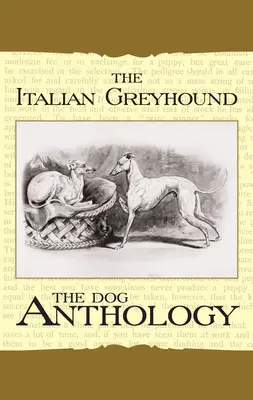 Az olasz agár: Kutyás antológia - The Italian Greyhound: A Dog Anthology