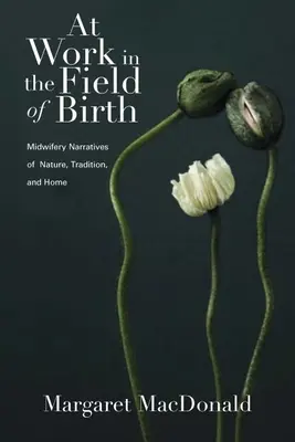 Munkában a születés területén: Bábai elbeszélések a természetről, a hagyományról és az otthonról - At Work in the Field of Birth: Midwifery Narratives of Nature, Tradition, and Home