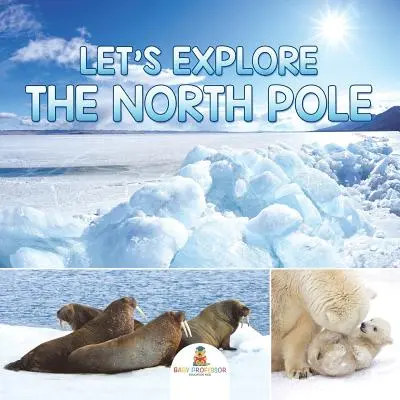 Fedezzük fel az Északi-sarkot - Let's Explore the North Pole