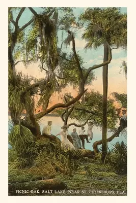 Vintage Journal Piknik tölgy, St. Petersburg, Florida - Vintage Journal Picnic Oak, St. Petersburg, Florida