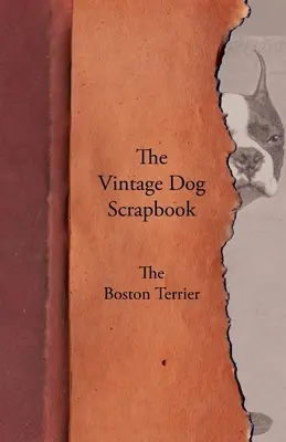 A Vintage Dog Scrapbook - A bostoni terrier - The Vintage Dog Scrapbook - The Boston Terrier