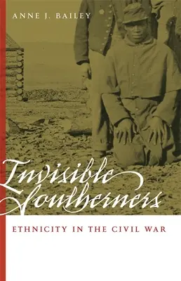 Láthatatlan déliek: Etnicitás a polgárháborúban - Invisible Southerners: Ethnicity in the Civil War