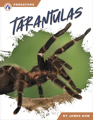 Tarantulák - Tarantulas