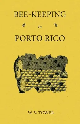 Méhészkedés Porto Ricóban - Bee Keeping in Porto Rico