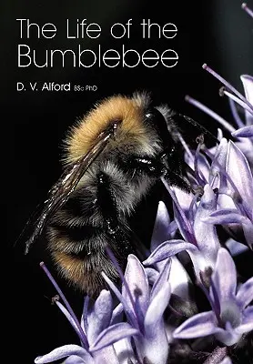 A dongó élete - The Life of the bumblebee