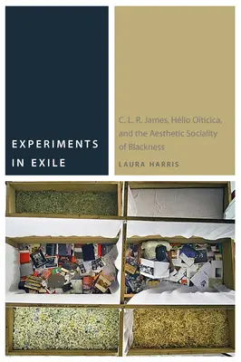 Kísérletek a száműzetésben: C. L. R. James, Hlio Oiticica, and the Aesthetic Sociality of Blackness (C. L. R. James, Hlio Oiticica és a feketeség esztétikai szocialitása) - Experiments in Exile: C. L. R. James, Hlio Oiticica, and the Aesthetic Sociality of Blackness