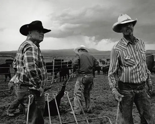 Open Range: America's Big-Outfit Cowboy