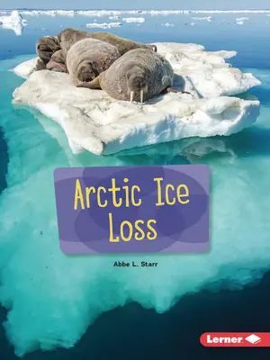 A sarkvidéki jég elvesztése - Arctic Ice Loss