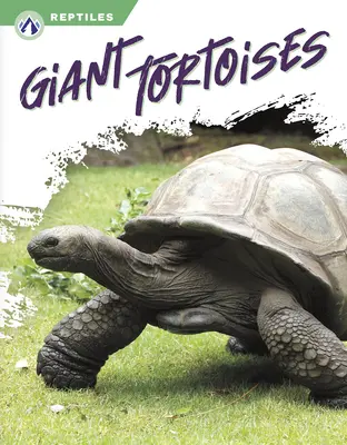 Óriás teknősök - Giant Tortoises