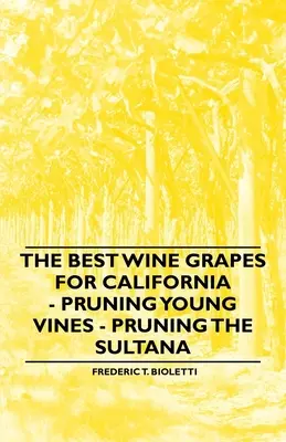 A legjobb borszőlő Kaliforniában - A fiatal tőkék metszése - A szultána metszése - The Best Wine Grapes for California - Pruning Young Vines - Pruning the Sultana