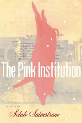 A rózsaszín intézmény - The Pink Institution