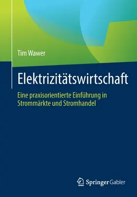 Elektrizittswirtschaft: Eine Praxisorientierte Einfhrung in Strommrkte Und Stromhandel