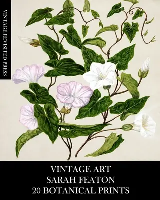 Vintage Art: Vintage Art: Sarah Featon 20 botanikai nyomatok - Vintage Art: Sarah Featon 20 Botanical Prints