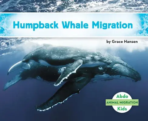 Púpos bálna vándorlás - Humpback Whale Migration