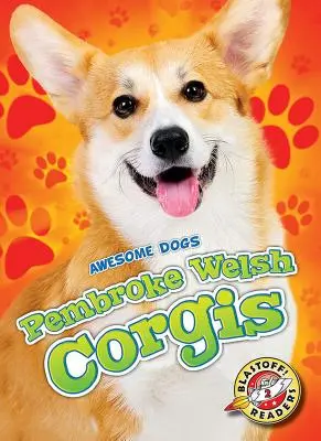 Pembroke Welsh Corgik - Pembroke Welsh Corgis