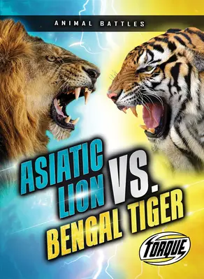 Ázsiai oroszlán vs. bengáli tigris - Asiatic Lion vs. Bengal Tiger