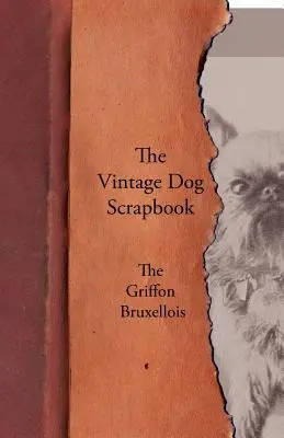 A Vintage kutya album - A Griffon Bruxellois - The Vintage Dog Scrapbook - The Griffon Bruxellois