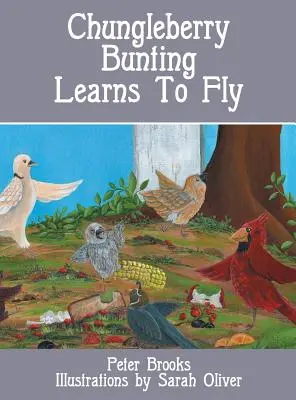 A barkóca megtanul repülni - Chungleberry Bunting Learns to Fly