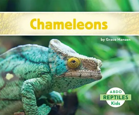 Kaméleonok - Chameleons