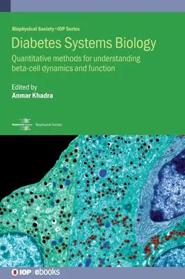 Diabétesz rendszerbiológia: A béta-sejtek dinamikájának és működésének megértésére szolgáló kvantitatív módszerek. - Diabetes Systems Biology: Quantitative methods for understanding beta-cell dynamics and function