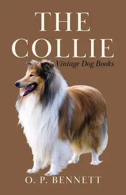 A Collie - The Collie