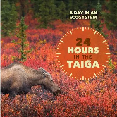 24 óra a tajgában - 24 Hours in the Taiga