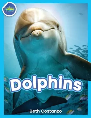 Delfinek! - Dolphins!