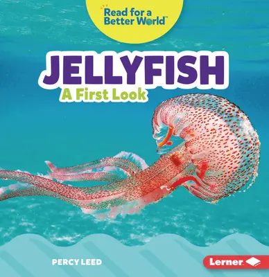 Medúza: Egy első pillantás - Jellyfish: A First Look