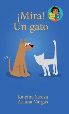 Mira! Un Gato