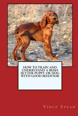 Hogyan lehet egy ír szetter kölyökkutyát vagy kutyát jó viselkedéssel kiképezni és felnevelni? - How to Train and Raise a Irish Setter Puppy or Dog with Good Behavior