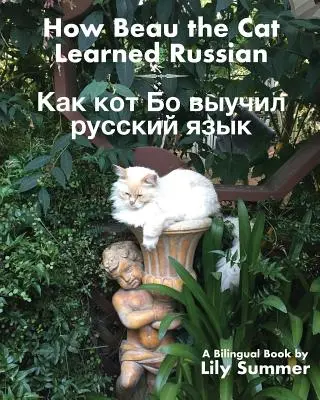 Hogyan tanult meg Beau a macska oroszul: Kétnyelvű könyv - How Beau the Cat Learned Russian: A Bilingual Book