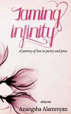 A végtelenség megzabolázása - Taming Infinity