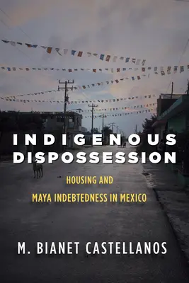 Bennszülöttek kitagadása: Lakhatás és a maja eladósodás Mexikóban - Indigenous Dispossession: Housing and Maya Indebtedness in Mexico