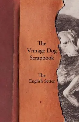 A Vintage Dog Scrapbook - Az angol szetter - The Vintage Dog Scrapbook - The English Setter