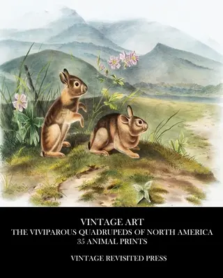 Vintage Art: Vintage Art: Észak-Amerika élősködő négylábúak 35 állati nyomatok - Vintage Art: The Viviparous Quadrupeds of North America 35 Animal Prints