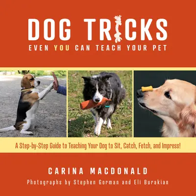 Kutyatrükkök, amelyeket még te is megtaníthatsz a háziállatodnak: A Step-By-Step Guide to teach your pet to sit, catch, fetch, and impress - Dog Tricks Even You Can Teach Your Pet: A Step-By-Step Guide to Teaching Your Pet to Sit, Catch, Fetch, and Impress