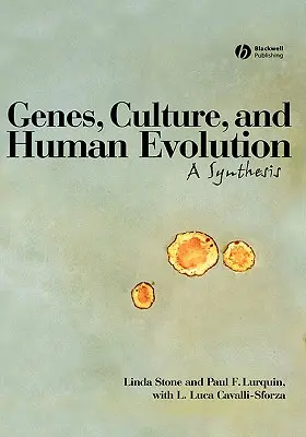 Gének Kultúra Emberi evolúció C - Genes Culture Human Evolution C