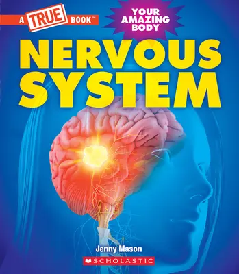 Idegrendszer (egy igaz könyv: A csodálatos tested) - Nervous System (a True Book: Your Amazing Body)