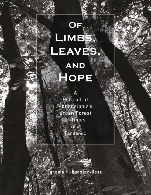 Végtagokról, levelekről és reményről: Philadelphia városi erdejének portréja a járvány idején - Of Limbs, Leaves, and Hope: A Portrait of Philadelphia's Urban Forest in Times of a Pandemic