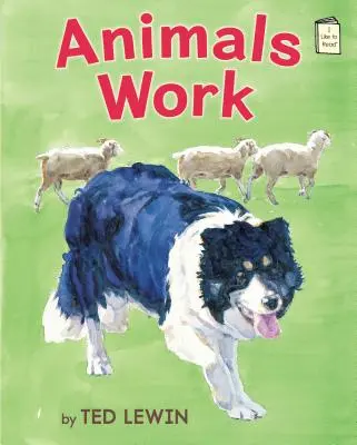 Állatok dolgoznak - Animals Work