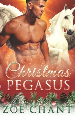 Vánoční Pegas - Christmas Pegasus