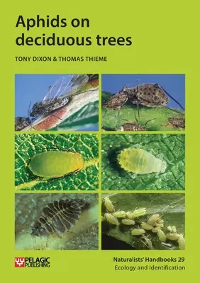 A levéltetvek a lombhullató fákon - Aphids on deciduous trees