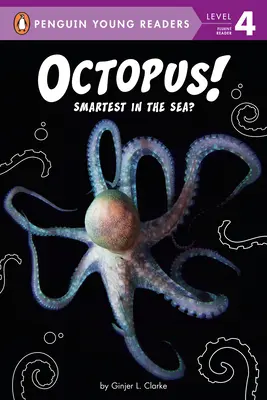 Polip!: A legokosabb a tengerben? - Octopus!: Smartest in the Sea?