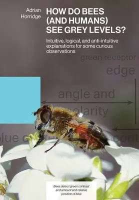 Hogyan látják a méhek (és az emberek) a szürke szinteket?: Intuitív, logikus és anti-intuitív magyarázatok néhány furcsa megfigyelésre - How Do Bees (and Humans) See Grey Levels?: Intuitive, logical, and anti-intuitive explanations for some curious observations