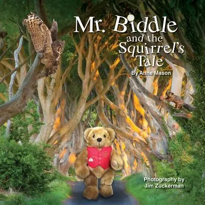 Mr. Biddle és a mókus meséje - Mr. Biddle and the Squirrel's Tale