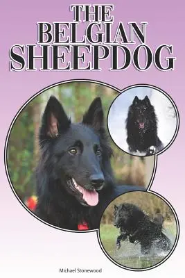 A belga juhászkutya: A Complete and Comprehensive Beginners Guide To: Vásárlás, birtoklás, egészség, ápolás, kiképzés, engedelmesség, megértése - The Belgian Sheepdog: A Complete and Comprehensive Beginners Guide To: Buying, Owning, Health, Grooming, Training, Obedience, Understanding