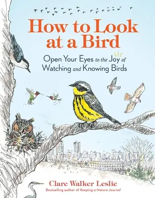 Hogyan nézzünk meg egy madarat: Nyisd meg a szemed a madarak megfigyelésének és megismerésének örömére - How to Look at a Bird: Open Your Eyes to the Joy of Watching and Knowing Birds