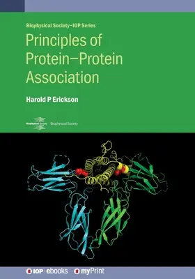 A fehérje-fehérje társulás alapelvei - Principles of Protein-Protein Association